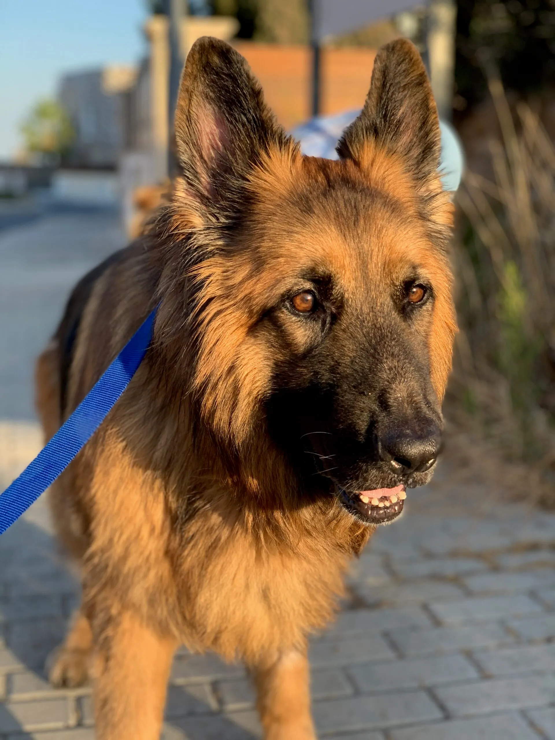 Five Years Without You